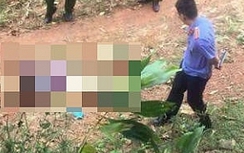 Phát hiện thi thể người phụ nữ với nhiều vết thương trong vườn cây