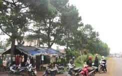 Đối tượng đâm chết người trong quán lá giữa đêm cũng bị thương