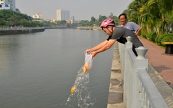 Cách chọn và thả cá chép tiễn Táo quân về trời đúng nhất 2018