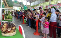 Hàng loạt trái cây lạ gây "sốc" người dân Nam Bộ