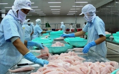 FTA Liên minh Kinh tế Á – Âu: 3 ngành có lợi nhất