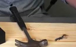 Nghịch tử dùng búa đập đầu mẹ, rút dao chém tới bất tỉnh