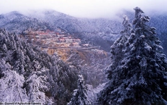 Giá rét bất thường giết chết 36 người Đài Loan