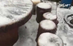 Ngắm tuyết rơi lần đầu tiên trong lịch sử ở Hà Nội