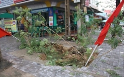 "Hố tử thần" xuất hiện giữa thành phố Thanh Hóa