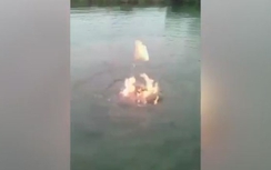 Sông bỗng dưng bốc cháy vì quá ô nhiễm