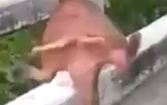 Sinh vật kỳ lạ ở Thái Lan gây xôn xao dân mạng