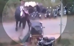 Voi nổi điên đập phá xe như phim Hollywood