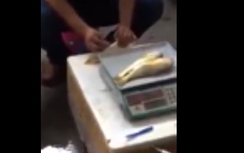 Kinh hoàng bơm chất vào bụng biến cá chết thành tươi