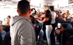 Hai "yêu nữ" bị đánh bầm dập vì mở nhạc to trên máy bay