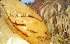 Tá hỏa đụng trúng quả bom nửa tấn khi đang đào ao