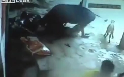 Video: Sốc cảnh bò điên xổng chuồng "càn quét" cả gia đình chủ