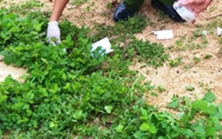 Một giám đốc bất ngờ bị kẻ bịt mặt bắn tại khu sinh thái