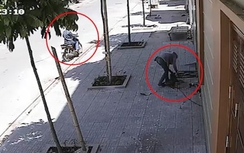 Video: Trộm quăng bả, ung dung "cuỗm" chó