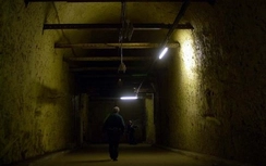 Video:Đột kích căn hầm từ thời chiến tranh Lạnh trồng 900 cây cần sa