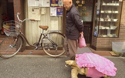 Cụ ông dắt cụ rùa đi dạo xôn xao Nhật Bản