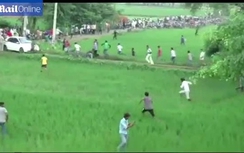 Video: Cả làng tán loạn vì bị báo hoang tấn công
