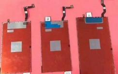 Lộ hình ảnh iPhone 7 được trang bị màn hình 2K