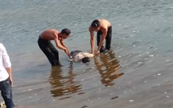 Bắt khẩn cấp 3 đối tượng ném đá thanh niên đến chết dưới sông