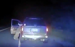 Bị ô tô đâm, hươu điên cuồng tấn công tài xế trả thù