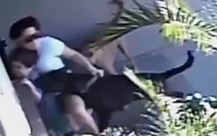 Cảm động mẹ lấy thân mình che cho 2 con bị chó dữ cắn