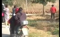 Choáng cảnh hơn 20.000 con vịt chạy qua đường khiến xe cộ ùn ứ