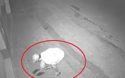 Bá đạo thanh niên lái xe máy đi trộm dép giữa đêm