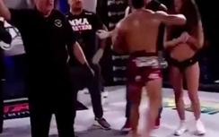 Video: Võ sĩ đấm vỡ mặt gái xinh vì cay cú