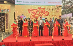Hapro tổ chức điểm bán hàng theo mô hình "Chợ Tết"