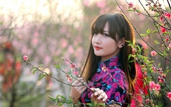 Những ca khúc mùa Xuân hay nhất 2017