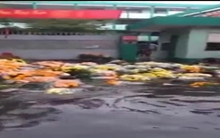 Hoa Tết lềnh phềnh giữa phố Sài Gòn