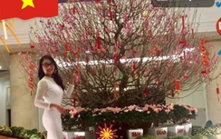 Cách cho cờ Tổ quốc vào ảnh đại diện Facebook?