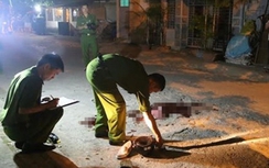 Lạng Sơn: Người phụ nữ bị kẻ tâm thần chém chết giữa đường