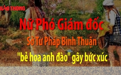 Toàn cảnh vụ nữ PGĐ Sở bị tố bẻ hoa anh đào Đà Lạt