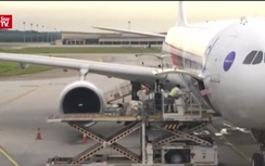 Video: Thi thể nghi ông Kim Jong-nam lên máy bay về Triều Tiên