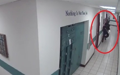 Video: Cảnh sát to cao "toát mồ hôi" khi thấy... chuột