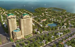 Giải mã sức hấp dẫn của D’. Le Roi Soleil