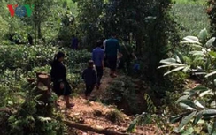 Tin mới nhất vụ thi thể phụ nữ bị trói trong đồi chè