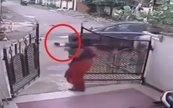 Em bé bị ôtô cán qua người vẫn đứng dậy khỏe mạnh