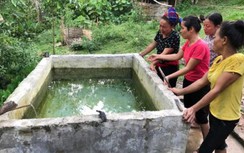 Người cha ngất lịm khi phát hiện hai con nhỏ chết trong bể nước