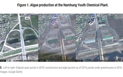 Hé lộ loài sinh vật giúp Triều Tiên không sợ các lệnh trừng phạt