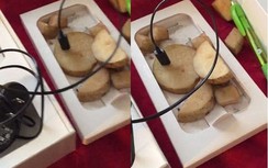 Mua iPhone ngày Black Friday, cô gái "khóc thét" mở hộp toàn... khoai tây