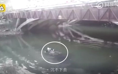 Video: Nhảy sông tự tử bất thành vì mặc... áo khoác quá dày