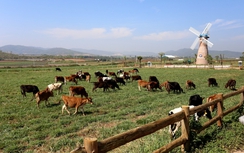 Vinamilk 3 năm liên tiếp đứng đầu top 10 doanh nghiệp uy tín 2017