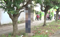 Nữ sinh đại học tử vong bất thường trên cây?