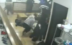 Video: Hoảng hồn lợn rừng xông vào quán ăn "càn quét" thực khách