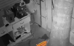 Video: Trộm táo tợn đục tường nhà dân vào "cuỗm" đồ ở Đồng Nai