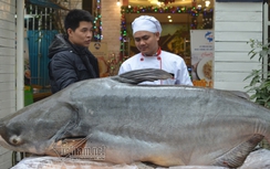 "Thủy quái" 120kg giá hơn 100 triệu đồng bị xẻ thịt để ăn Tết
