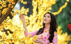 Thời tiết ngày mùng 3 Tết: Bắc Bộ nắng ấm, sắp đón rét đậm