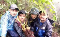 Đào được sâm Ngọc Linh quý hiếm giá "trên trời" ở Quảng Nam